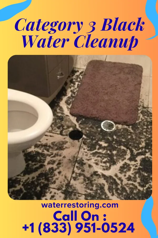 Category 3 Black Water Cleanup in St. Elizabeth, MO