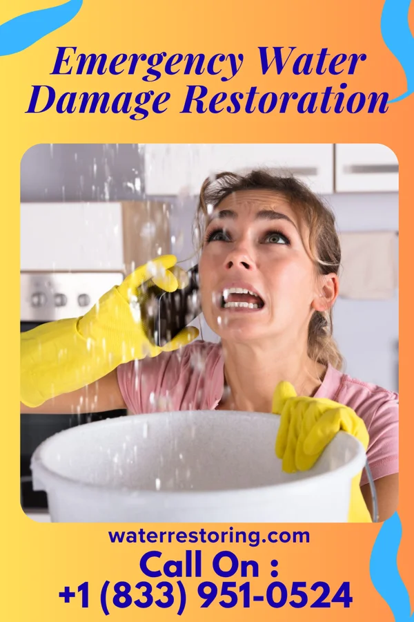 Emergency Water Damage Restoration in St. Elizabeth, MO